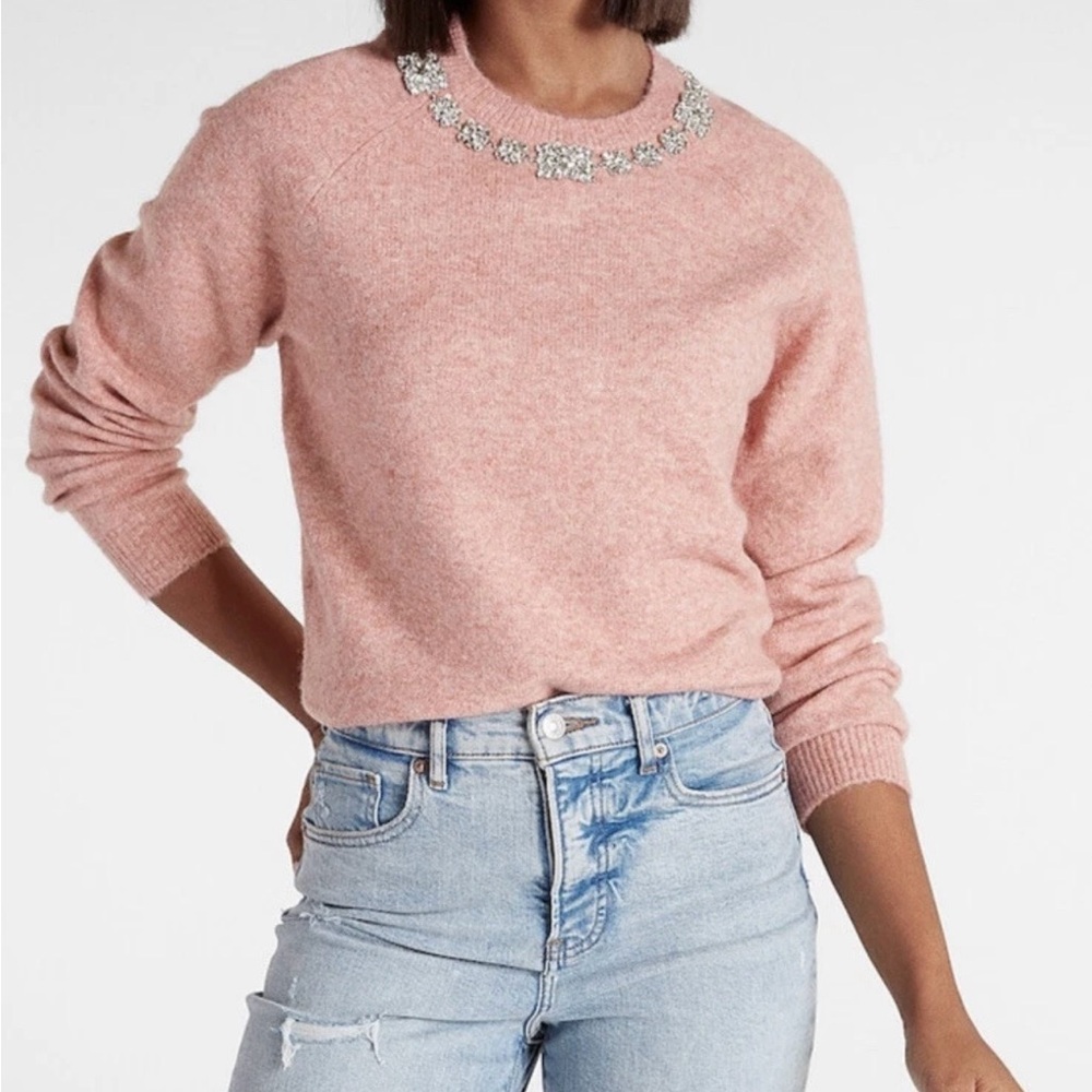 Express Pink Crew Neck Sweater with Embellishments